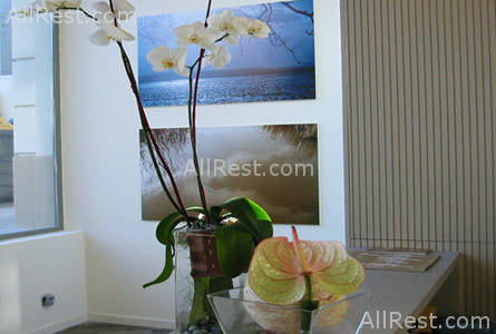 Hotel Amister 18
